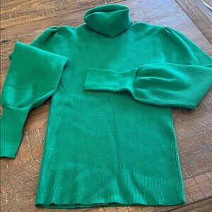 Ann Taylor Green Turtleneck Sweater  Medium Women New